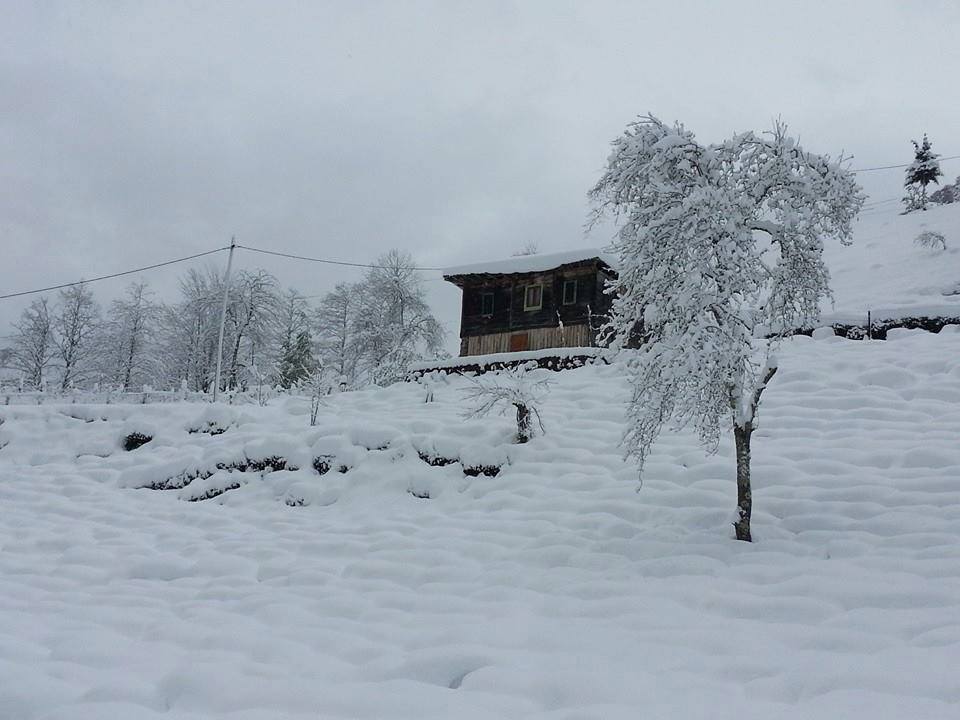 Ayder dağ evleri doğa içinde huzurlu tatil Mençuna Konakları