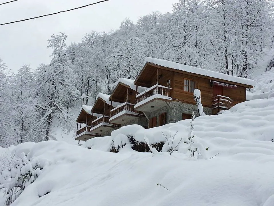 Doğu Karadeniz yayla evleri
