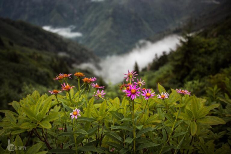 Things to Do in Artvin 2026: Activities, Nature & Day Trips