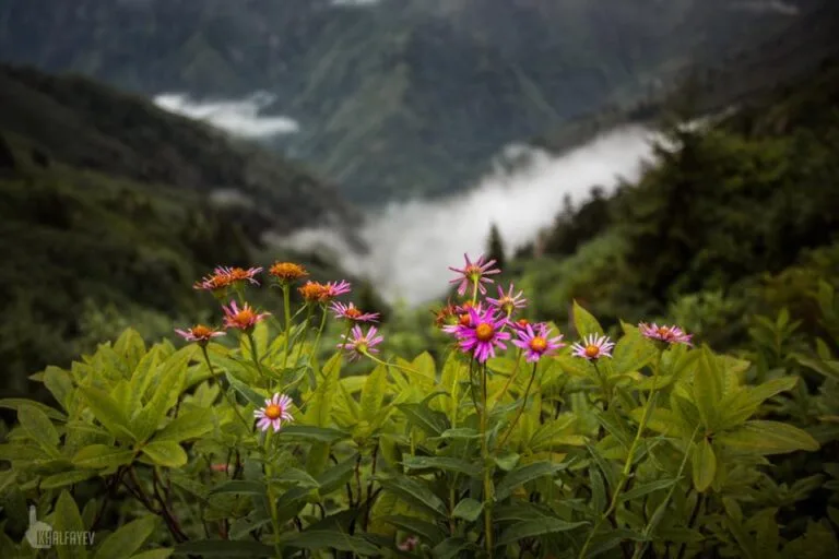 Things to Do in Artvin 2026: Activities, Nature & Day Trips