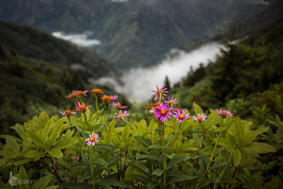 çocuklarla Artvin seyahati gezilecek yerler doğa aktiviteleri