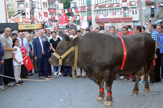 Artvin gezilecek yerler Kafkasör Yaylası festivali