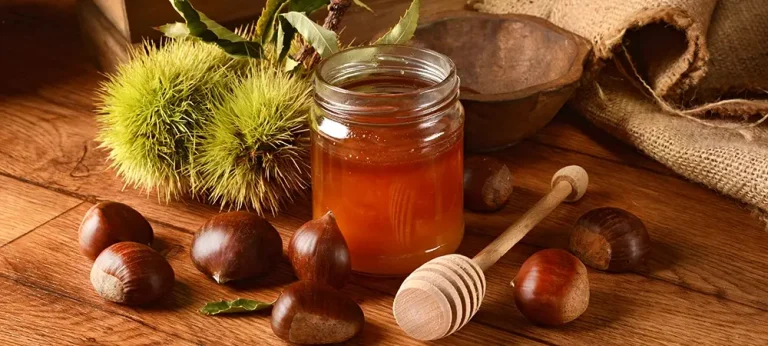 Artvin Kestane Balı: Fiyatı, Faydaları ve Alım Rehberi 2026