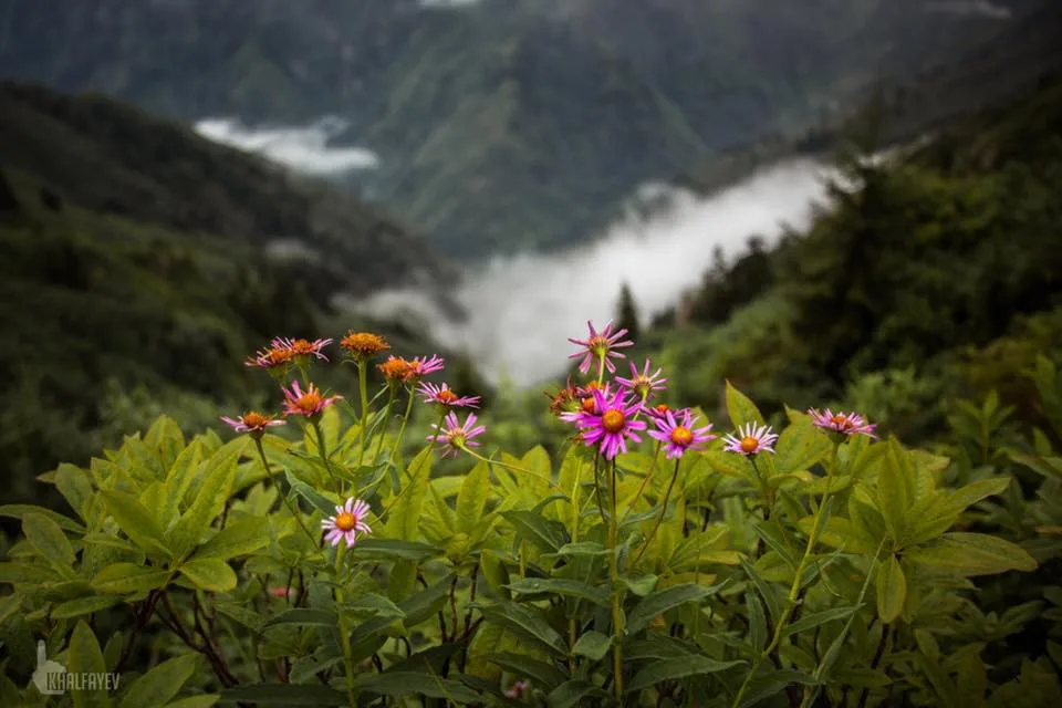 Mençuna Konakları - Artvin Arhavi doğa ve konaklama fotoğrafı