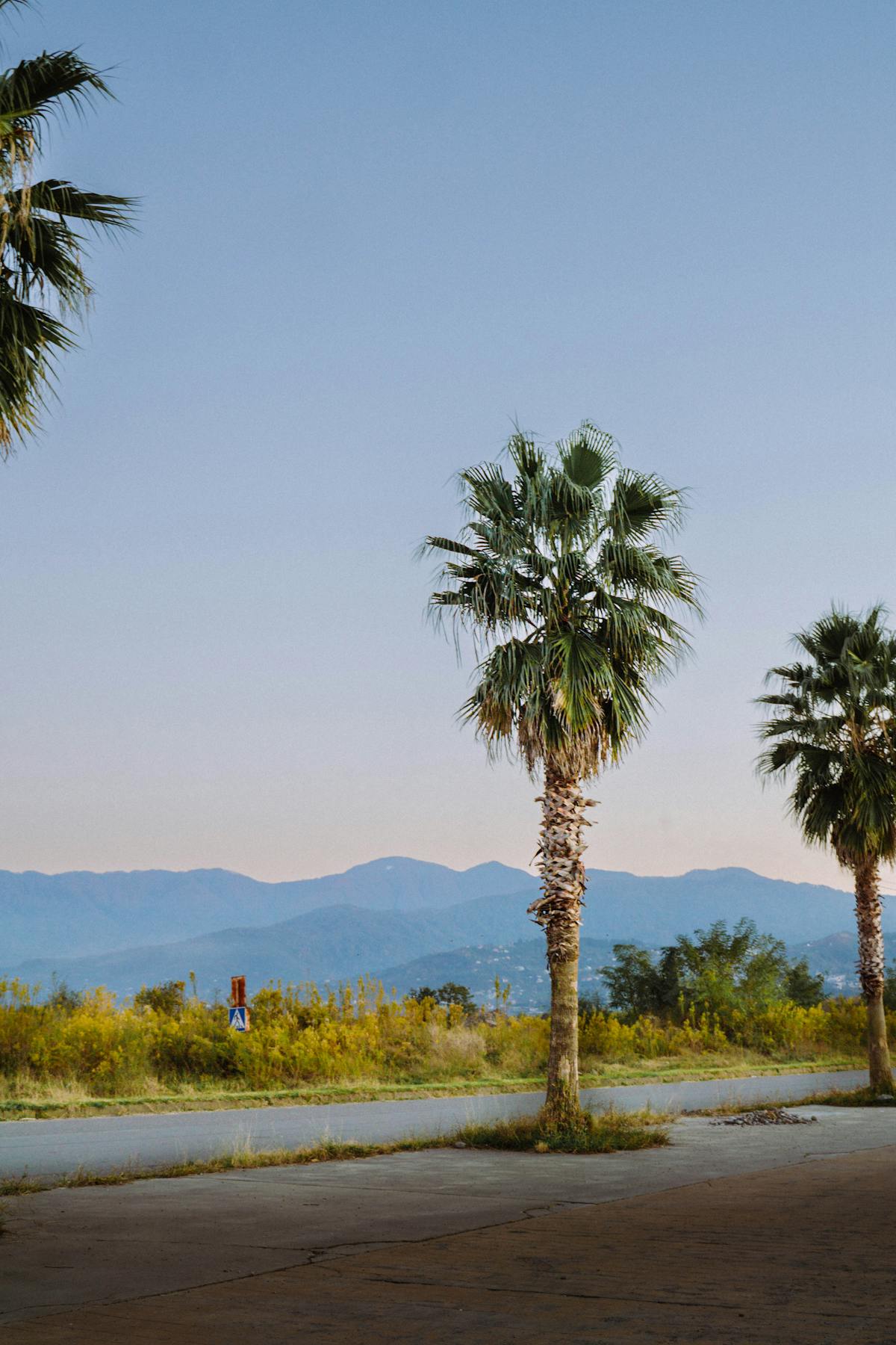 batum otelleri palmiye dağ manzarası