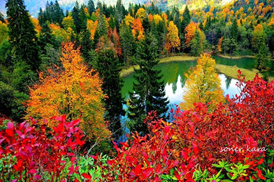 Karagol lake trip during Artvin family holiday