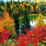 Borçka Karagöl mü Şavşat Karagöl mü? 2026 Karşılaştırma