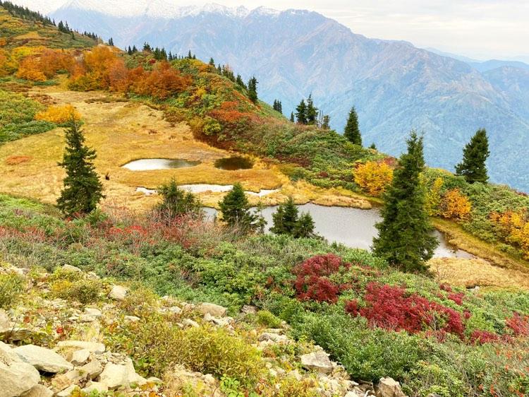 Artvin Yayla Evleri: Doğa İçinde Huzurlu Konaklama Rehberi 2026