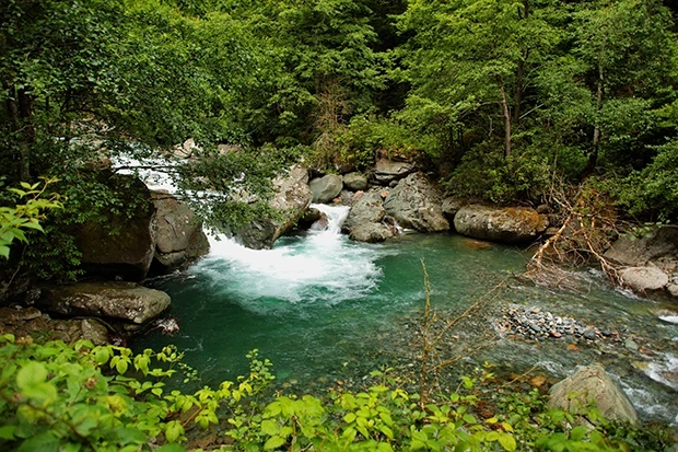 Arhavi otelleri - Kamilet vadisi