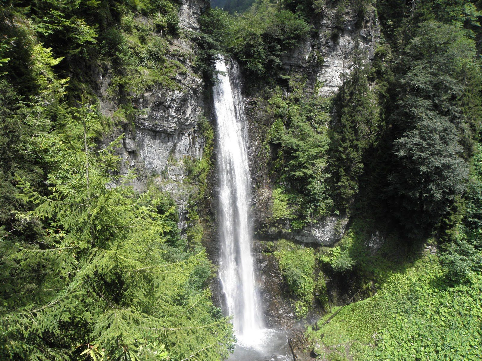 Macahel Vadisi Maral Şelalesi doğa manzarası Mençuna Konakları