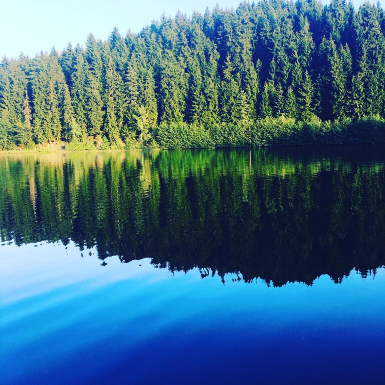 Artvin Nasıl Gidilir? Ulaşım Rehberi 2026