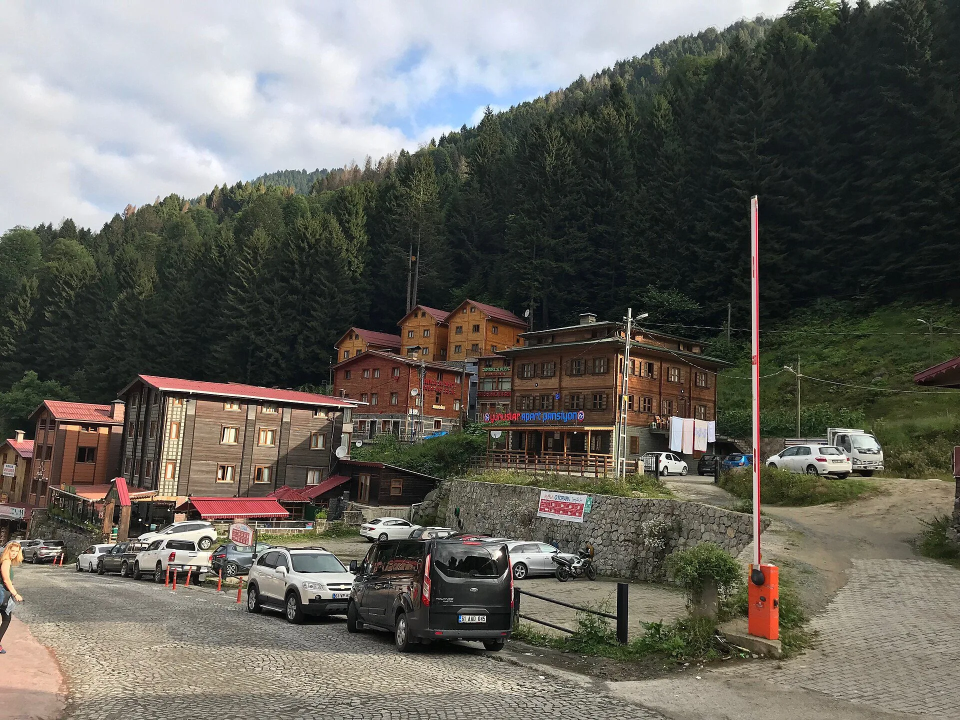 Ayder Yaylası doğa manzarası