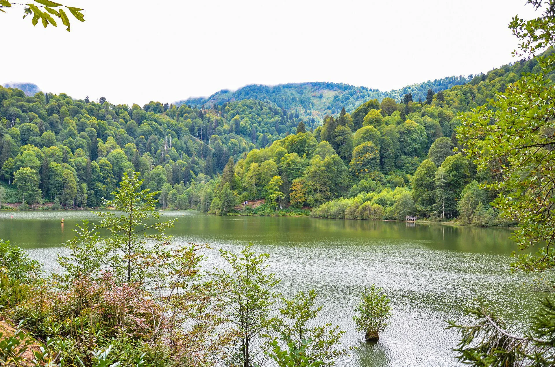 Artvin Borçka Karagöl manzarası