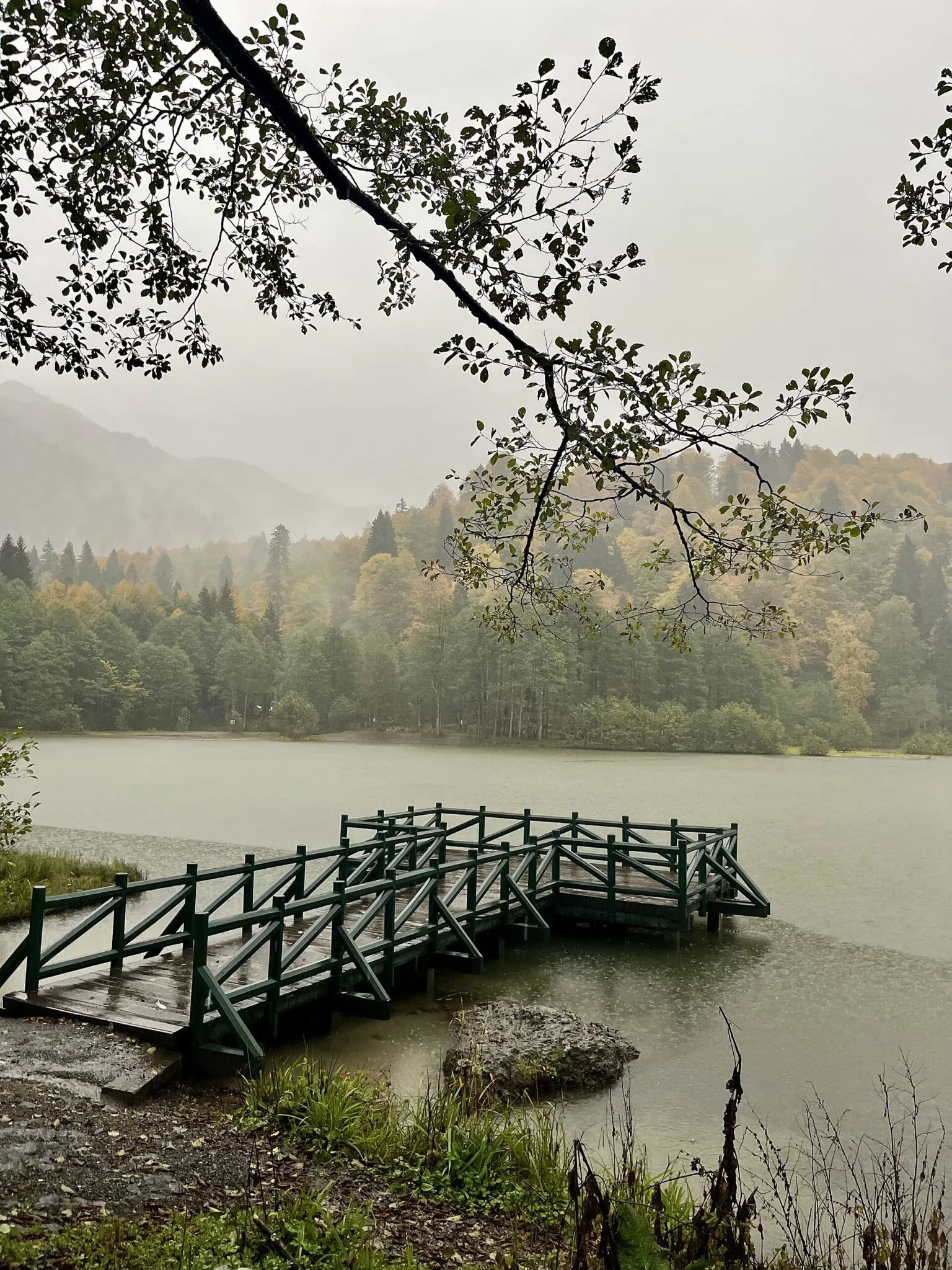 Karadeniz sonbahar sisi — yağmurlu bir ekim günü Borçka Karagöl