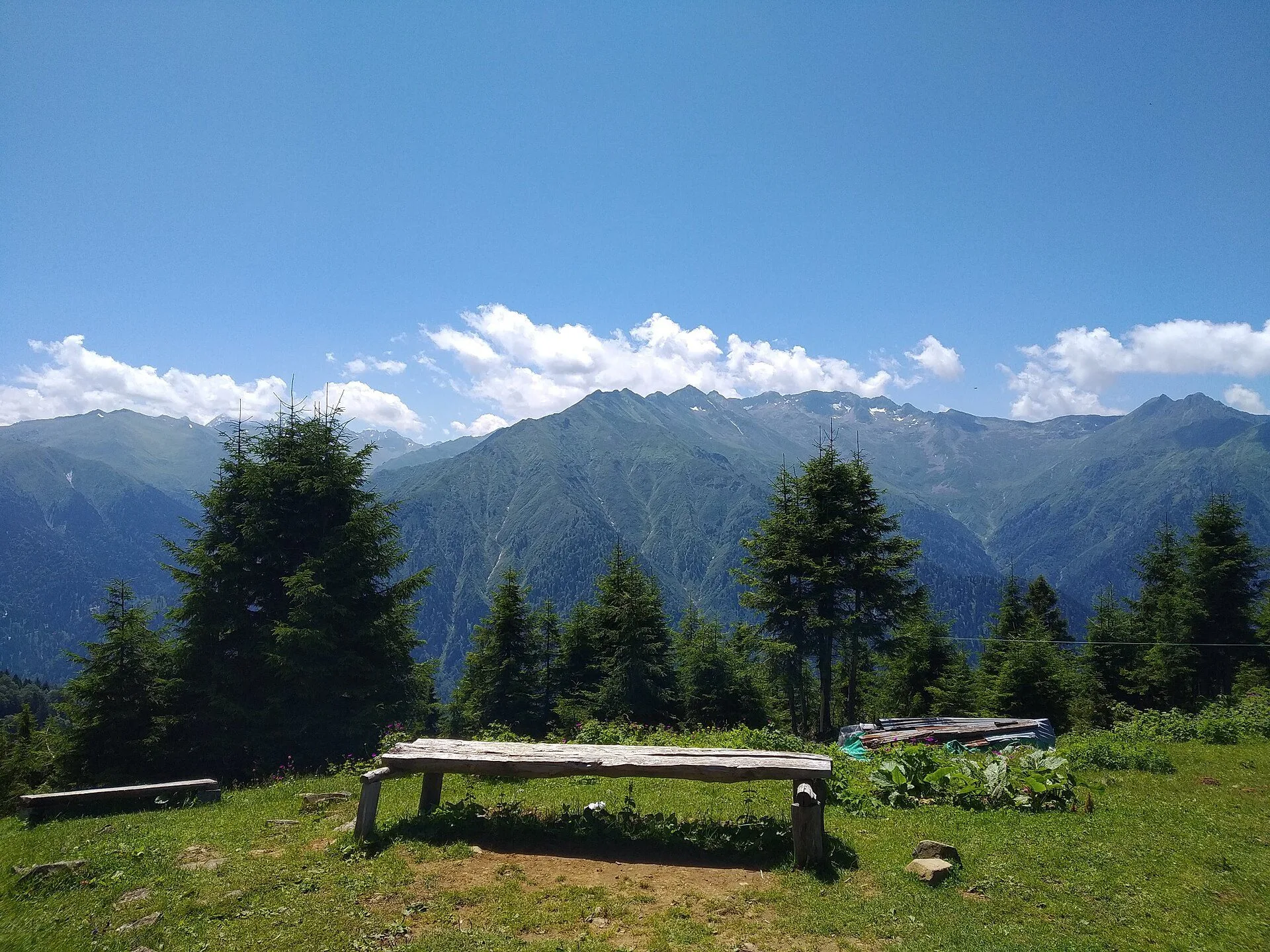 Sal Yaylası ahşap yayla evleri