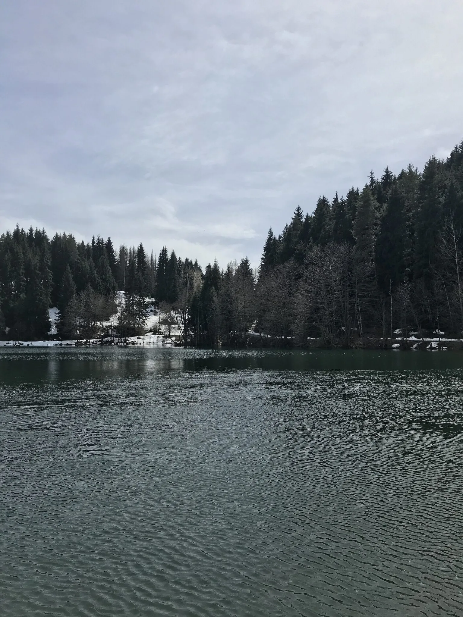 Karagöl, Artvin manzarası — artvin havuzlu oteller
