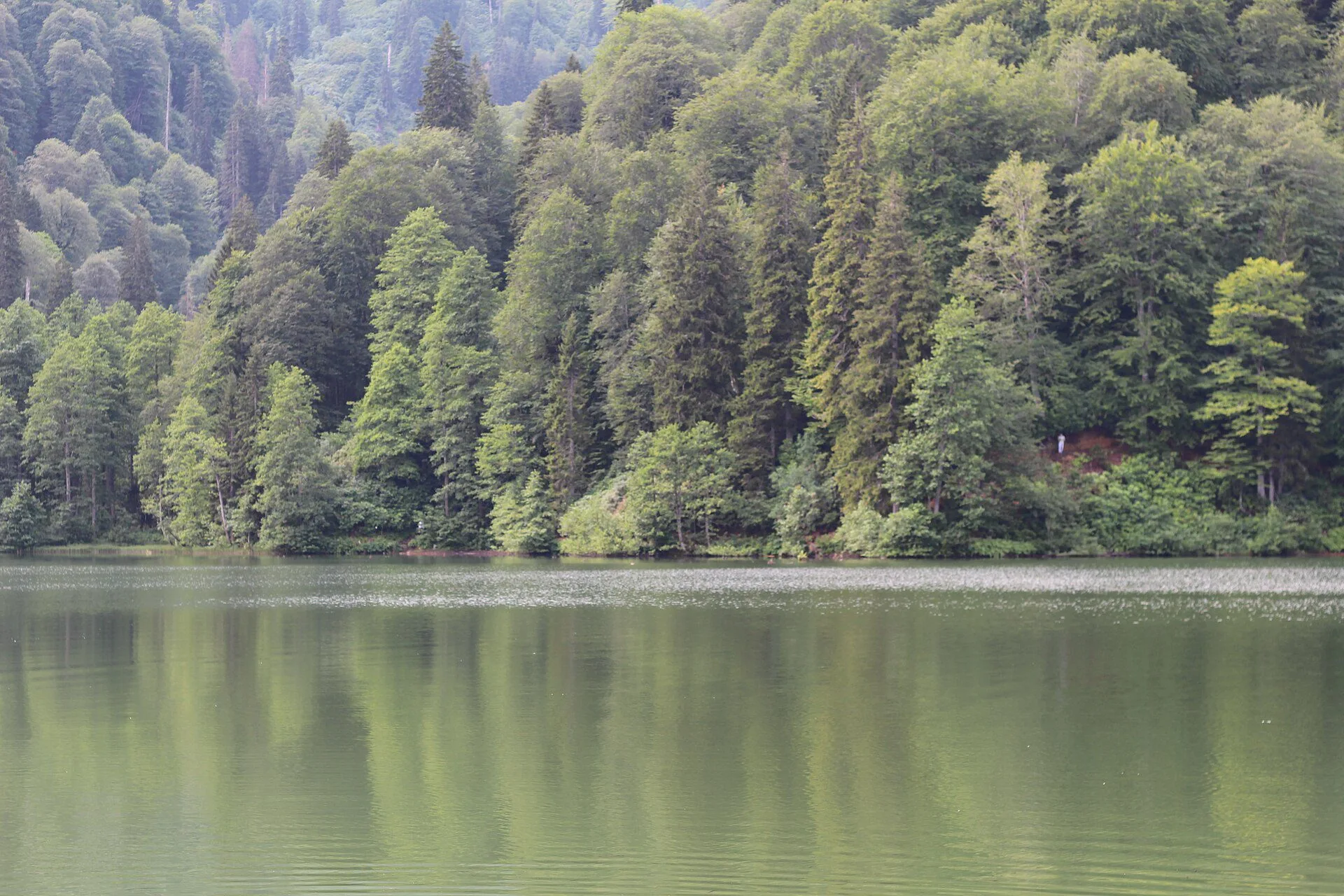 Borçka Karagöl Tabiat Parkı manzarası — Artvin kamp alanları