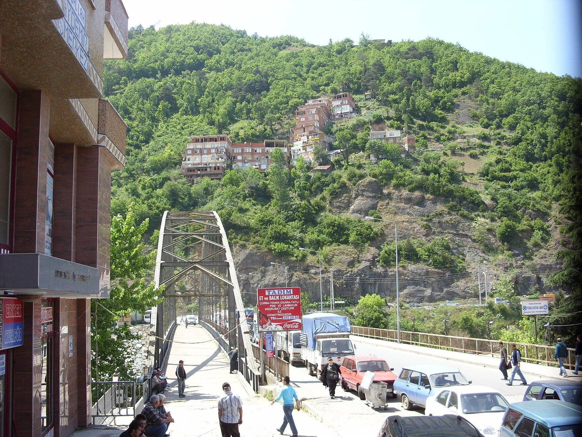 Çoruh üzerindeki köprü, Borçka manzarası — Artvin tarihi köprüler