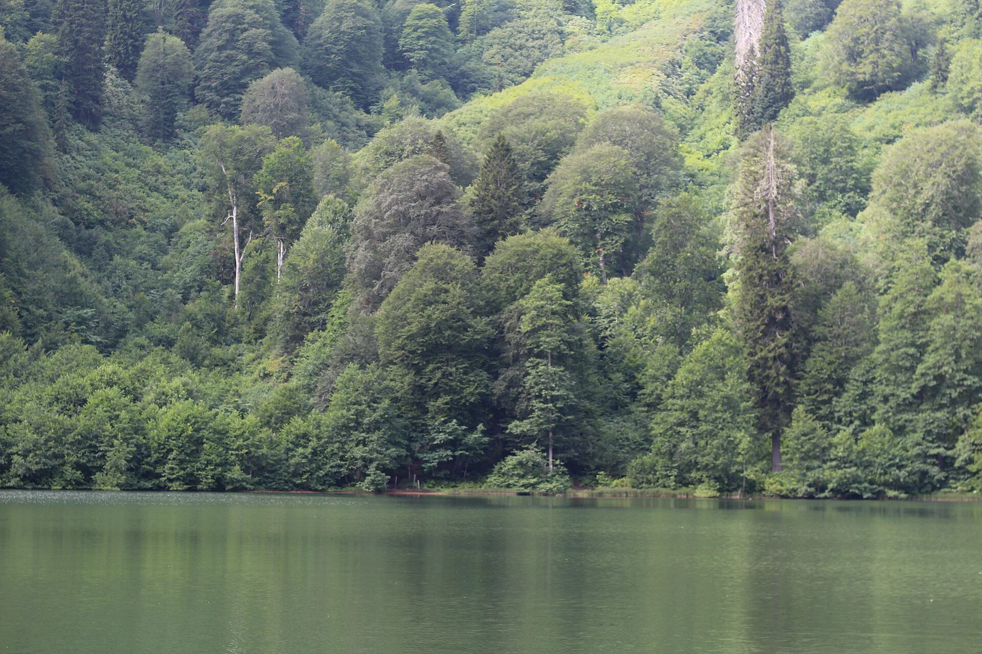 Borçka Karagöl Nature Park — Artvin bungalow accommodation nature view
