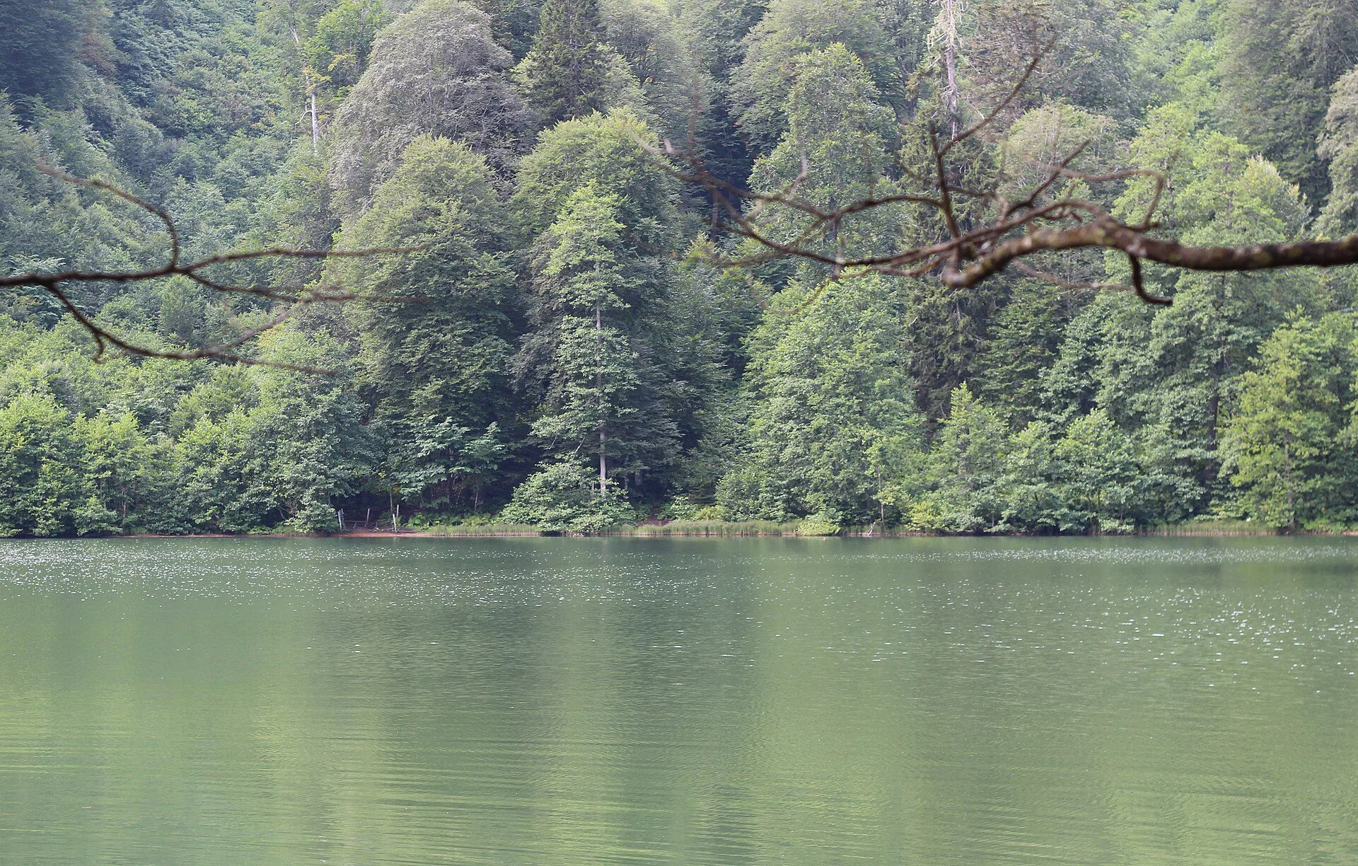Borçka Karagöl Nature Park — Artvin family holiday nature view