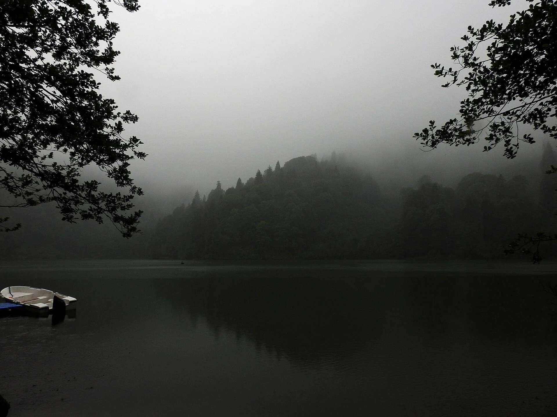 Karagöl in the forest — Artvin honeymoon hotels nature view