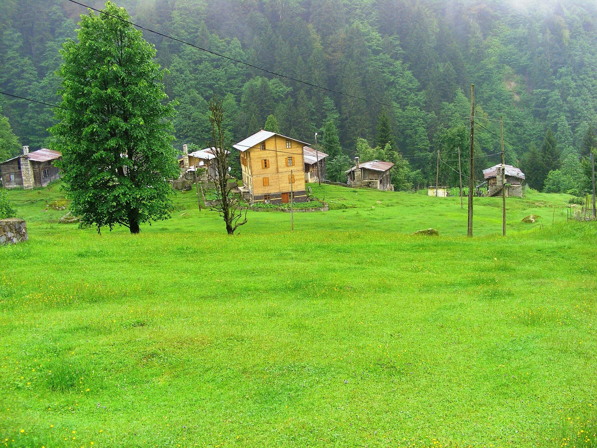 Doğu Karadeniz yayla evleri — Ayder Yaylası, Çamlıhemşin (Rize)