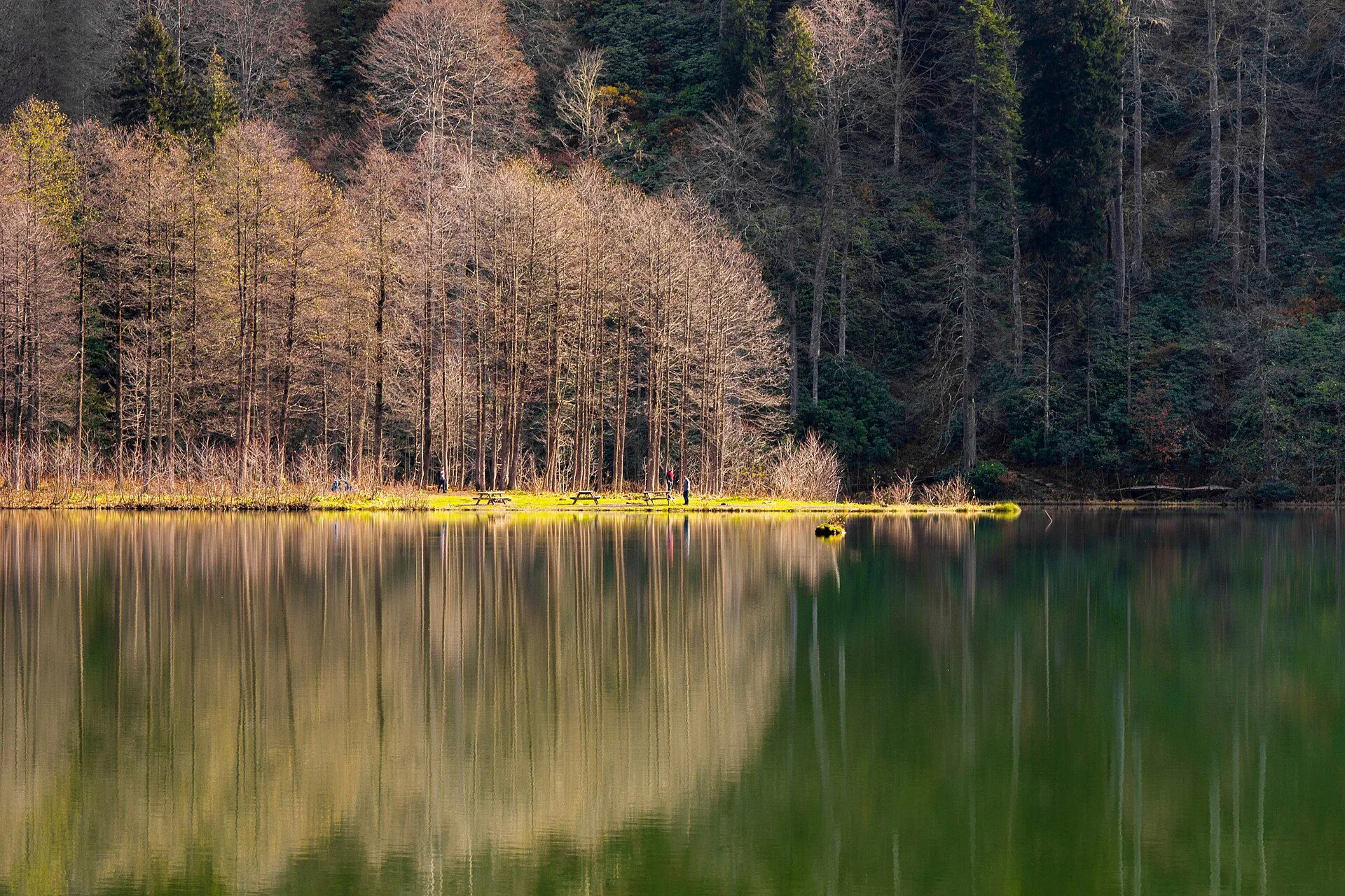 Karagöl, Artvin manzarası — şavşat konaklama