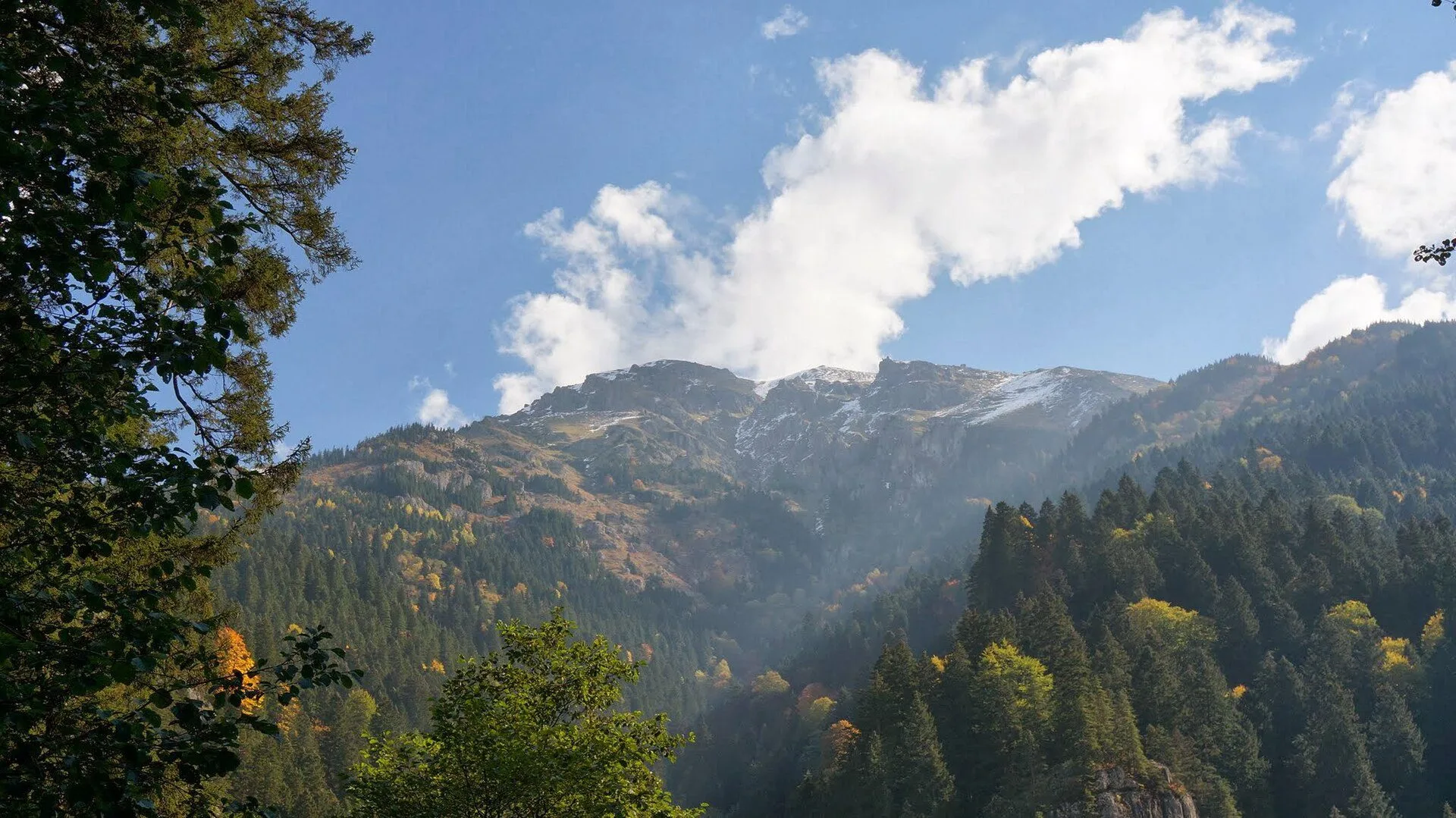 Altındere Vadisi, Maçka manzarası — Uzungöl pansiyonları