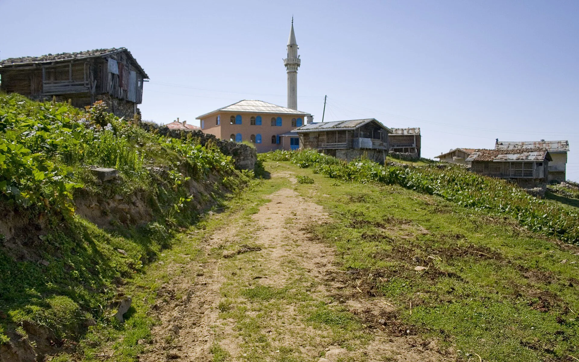 Çaykara, Trabzon manzarası — Uzungöl dağ evleri