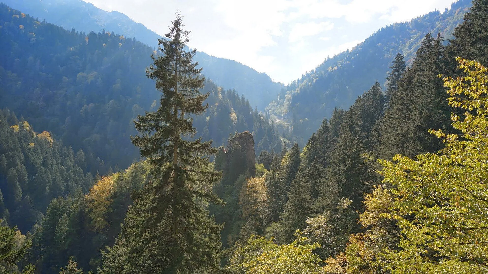 Altındere Vadisi, Maçka manzarası — Uzungöl rehberi