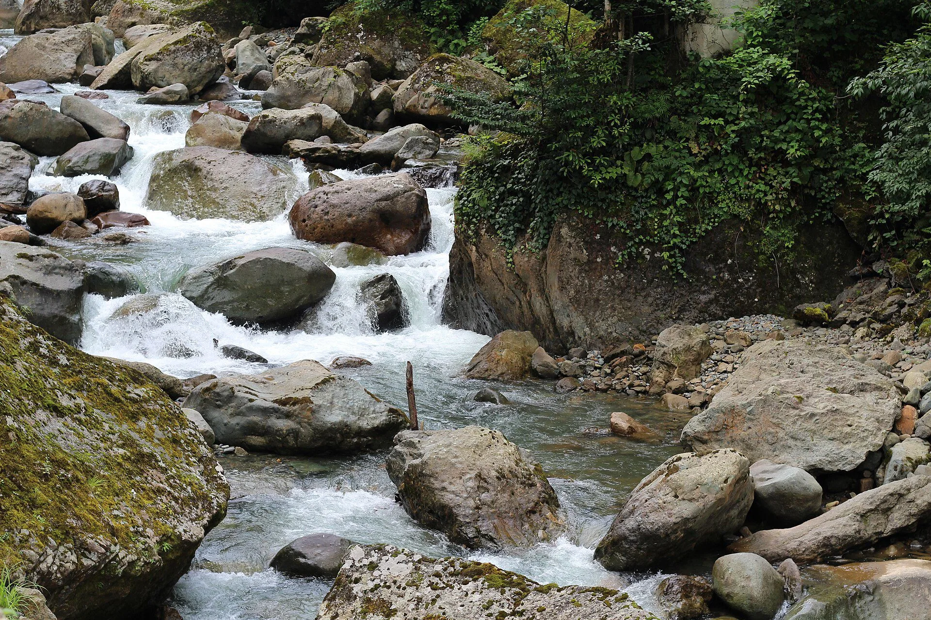 Altındere Vadisi Milli Parkı manzarası — uzungöl bungalov evleri