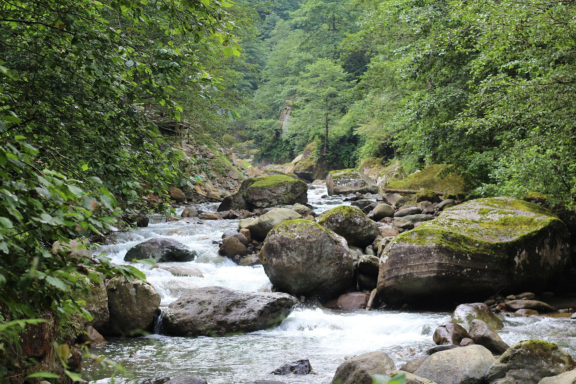 Altındere Valley National Park — Uzungöl hotels nature view