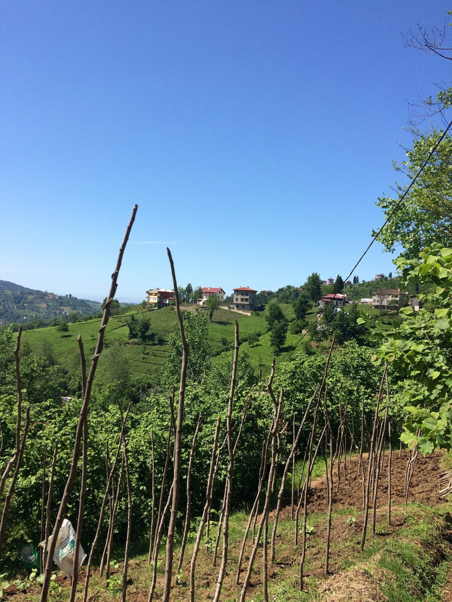 Trabzon manzarası — mençuna