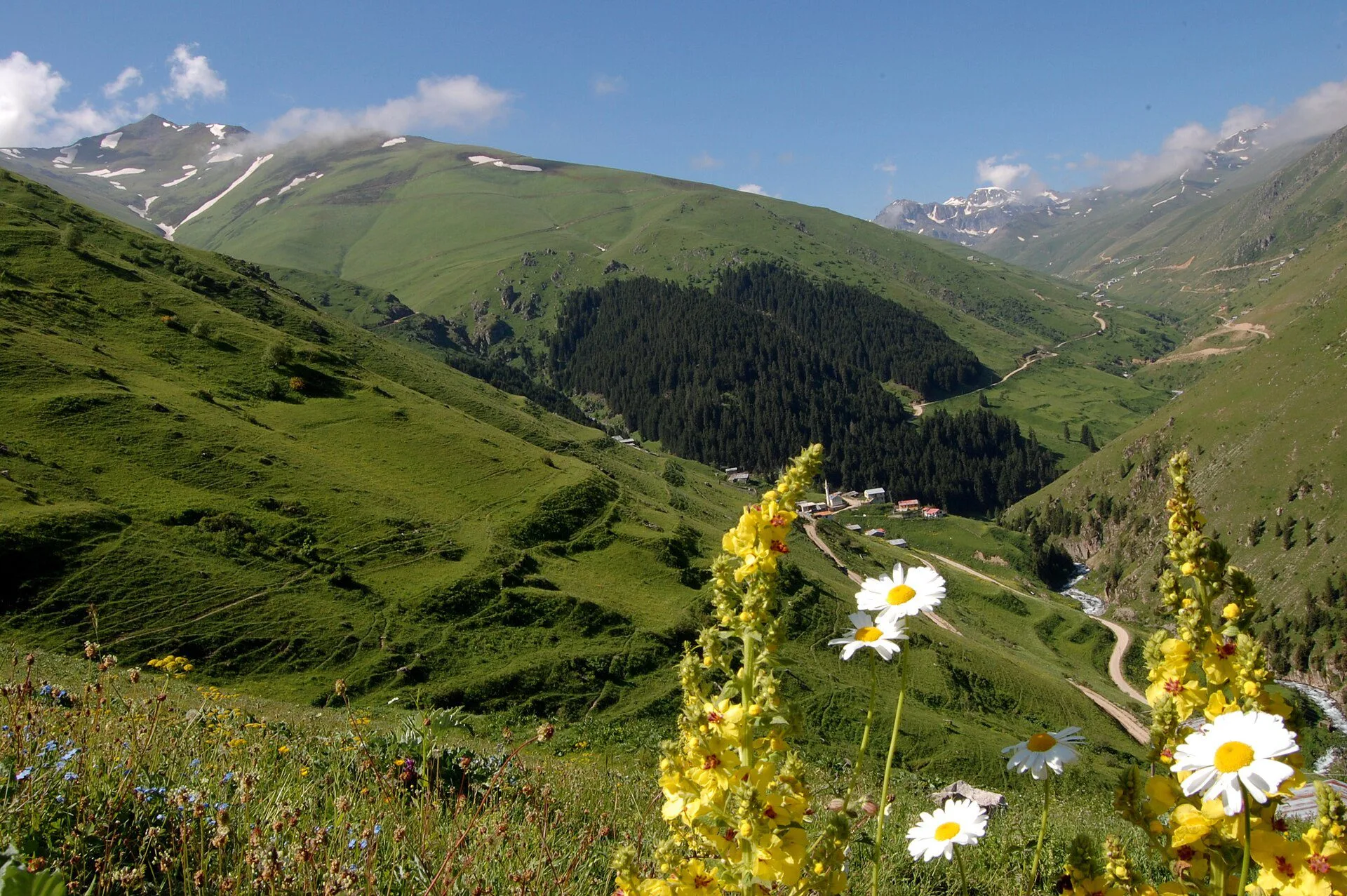 Karadeniz konaklama — Anzer Yaylası, Rize