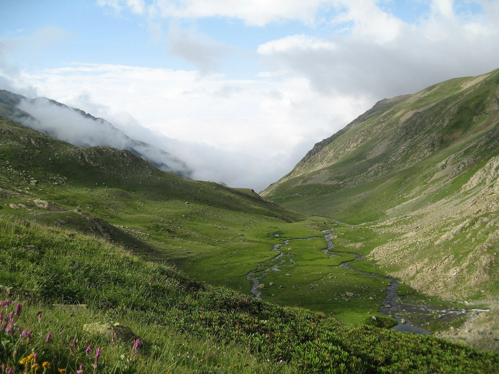 Çamlıhemşin yeşil vadi manzarası — Rize konaklama