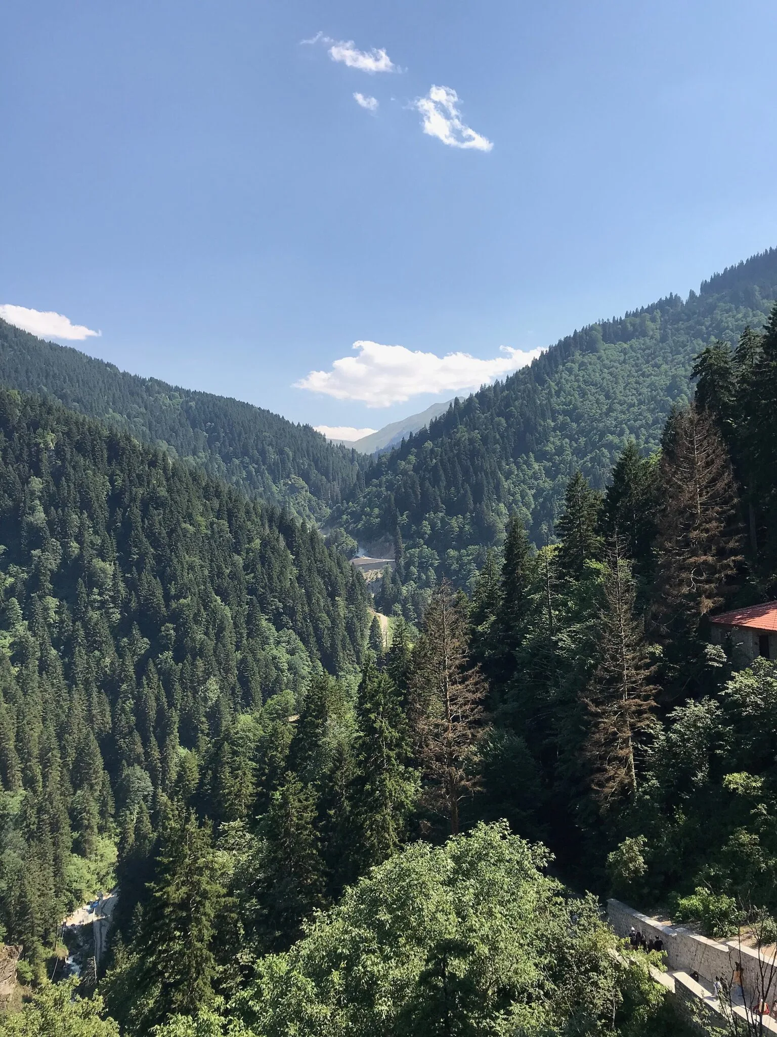 Altındere Vadisi Milli Parkı manzarası — trabzon konaklama
