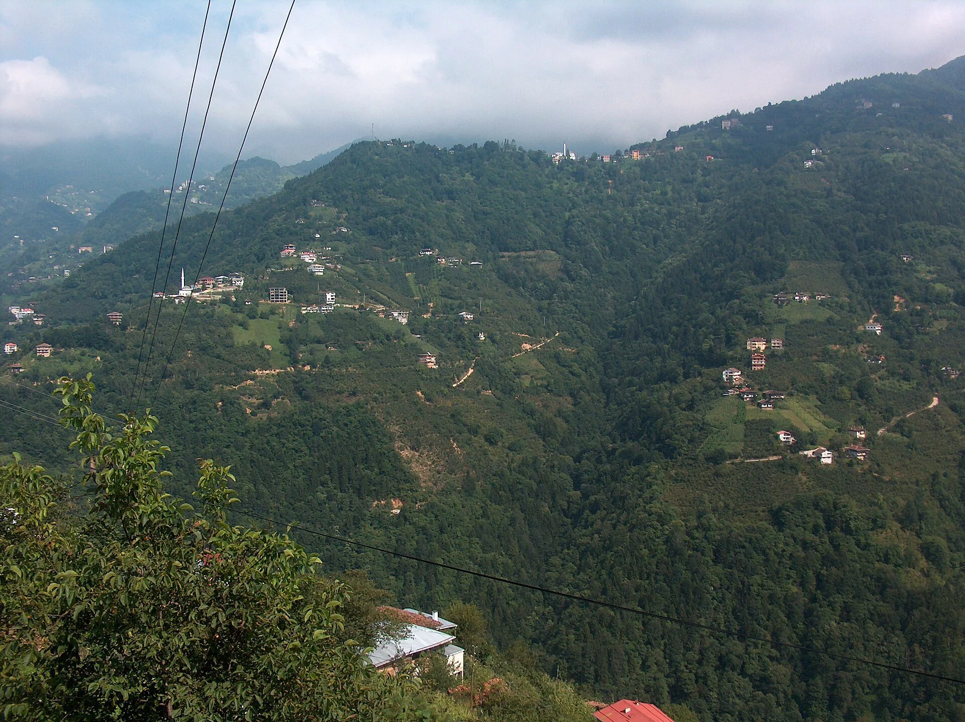 Çaykara, yeşil ve sis manzarası — trabzon pansiyonları