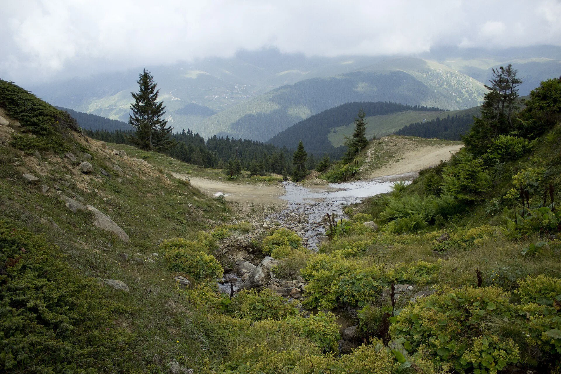 Çaykara dağ manzarası manzarası — trabzon yayla evleri