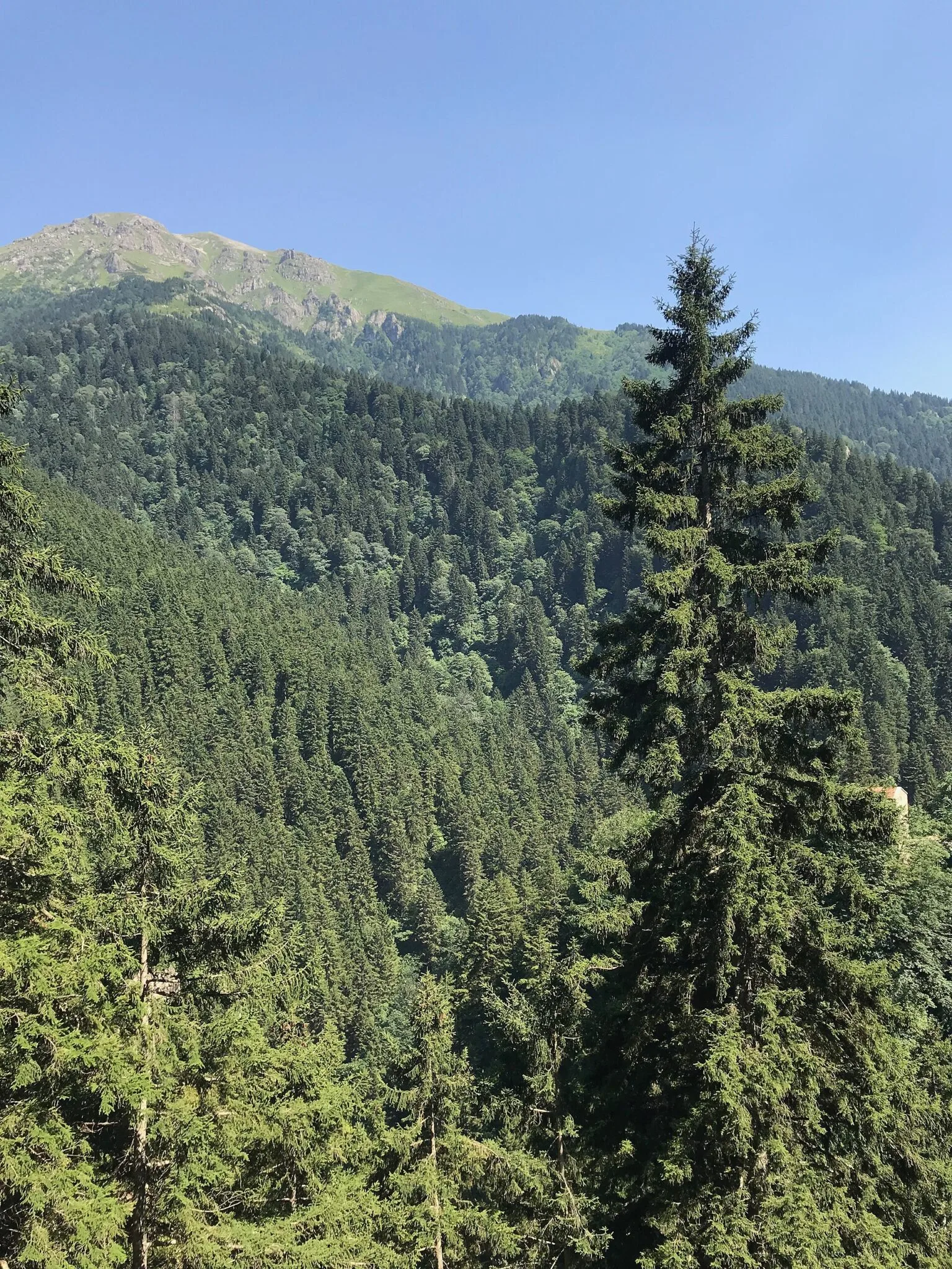 Altındere Vadisi Milli Parkı manzarası — trabzon bungalov evleri