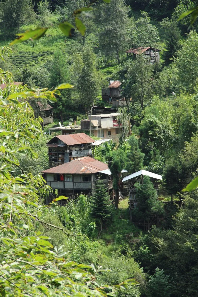 Karadeniz Kültürü 2026: Lazlar, Hemşinliler ve Gürcüler Rehberi