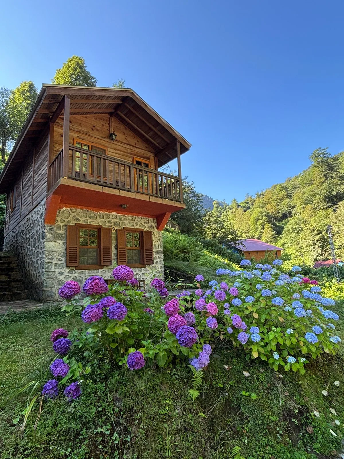 Artvin bungalov evleri tesisi
